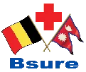 Bsure logo